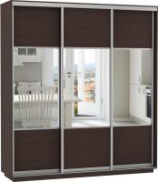 Шкаф-купе Экспресс Трио Комби (2,4х0,6х2,2 - 3 двери) в интернет магазине Планета Комфорта Фото shkaf-kupe-v-prikhozhuyu шкаф-купе экспресс трио комби (2,4х0,6х2,2 - 3 двери) производитель Мебельная компания Е1