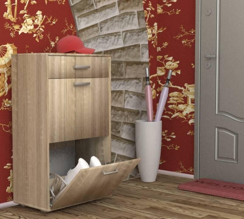 Фото Обувница ОБ-2 от производителя Пирамида в Симферополе по цене 5&nbsp;060 ₽