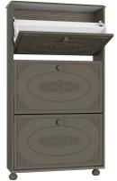 Шкаф под обувь Ассоль плюс АС-46 в интернет магазине Планета Комфорта tumby-dlya-obuvi шкаф под обувь ассоль плюс ас-46 производитель Компасс