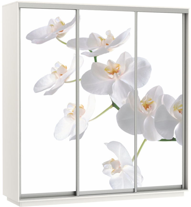 Фото Шкаф-купе Экспресс Трио Фото (2,4х0,6х2,4 - 3 двери) от производителя Мебельная компания Е1 в Симферополе по цене 63&nbsp;870 ₽