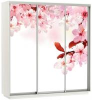 Шкаф-купе Экспресс Трио Фото (2,1х0,6х2,2 - 3 двери) в интернет магазине Планета Комфорта Фото shkaf-kupe-s-fotopechatyu шкаф-купе экспресс трио фото (2,1х0,6х2,2 - 3 двери) производитель Мебельная компания Е1